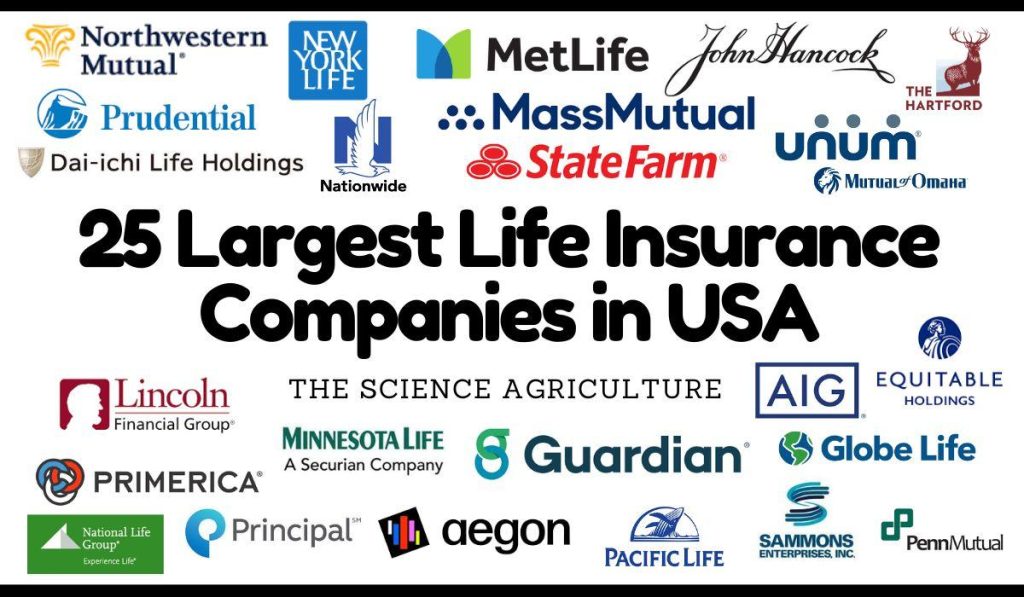 Choosing a Reliable Life Insurance Company: Top Tips Made Easy