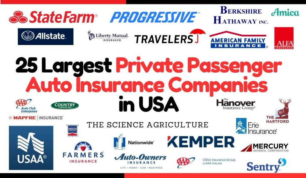 Key Factors to Consider When Choosing Auto Insurance Providers