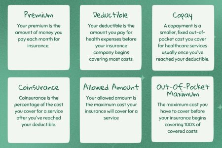 Health Insurance 101: What It Is and How It Works