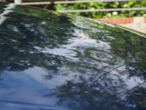 What to Know About Mold & Water Damage Coverage Tips