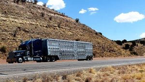Insurance Essentials for Expedited Freight Carriers Explained Insurance Essentials for Expedited Freight Carriers Explained