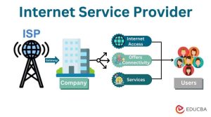 Navigating Network Providers and Out-of-Network Costs Made Easy