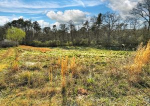 Why Flood Insurance Is Vital in 30555 Mineral Bluff, GA