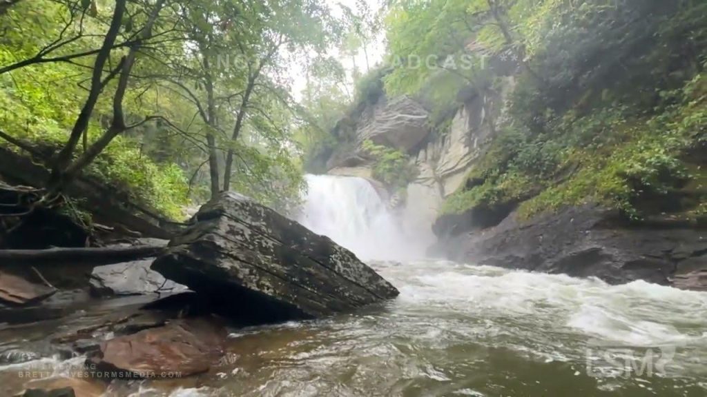 Flood Zone Trends in 28768 Pisgah Forest, NC: What to Know