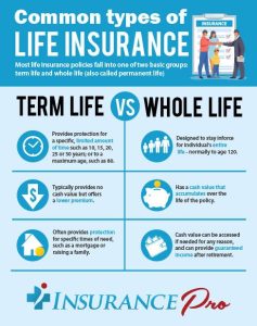Life Insurance Basics: Term, Whole & Universal Explained