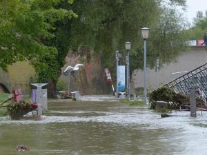 How 27577 Smithfield NC Can Effectively Reduce Flood Damage How 27577 Smithfield NC Can Effectively Reduce Flood Damage