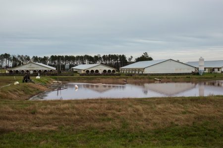Effective Ways 27577 Smithfield NC Can Minimize Flood Damage