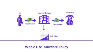 Whole Life Insurance: The Good and The Not-So-Good